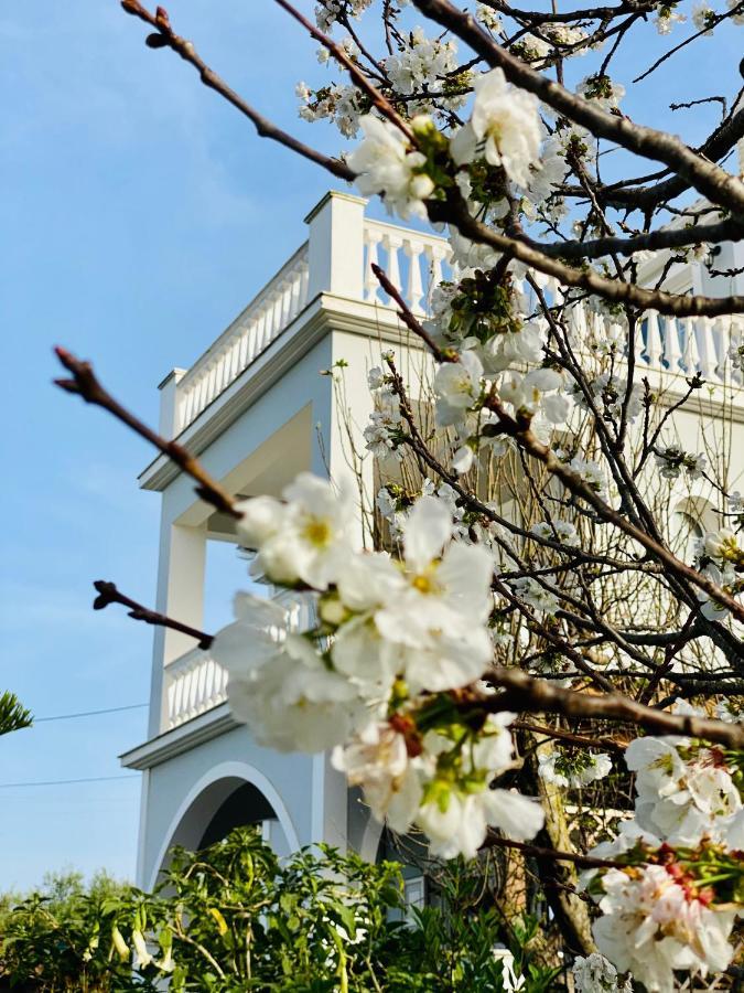 Theros Villa Plános 외부 사진
